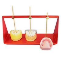 Фиксирующее устройство, 101701