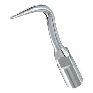 Насадка к скалеру P4