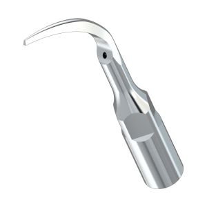 Насадка к скалеру P1