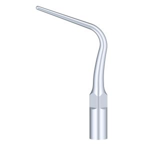 Насадка к скалеру P52