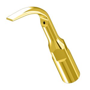 Насадка к скалеру G2T