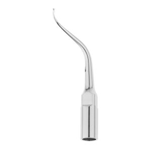 Насадка к скалеру P2L