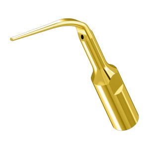 Насадка к скалеру PD3T