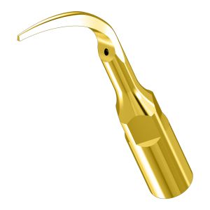 Насадка к скалеру P1T