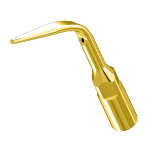 Насадка к скалеру G3T