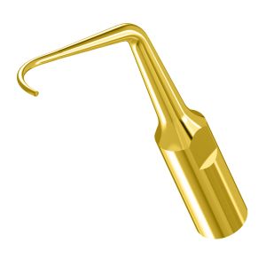 Насадка к скалеру, PD2LT