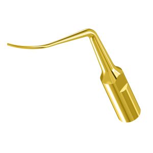 Насадка к скалеру, PD2RT