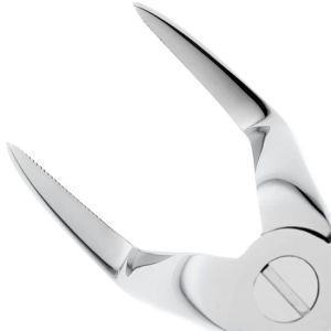 Щипцы Байонеты (верхние корневые) (HLW 11-51)