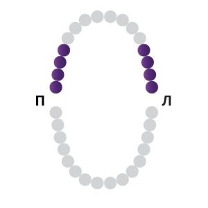 Раббер Дам крепление 129-026, МЕДЕНТА