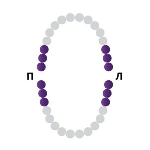 Раббер Дам крепление 129-028, МЕДЕНТА