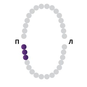 Раббер Дам крепление 129-010, МЕДЕНТА