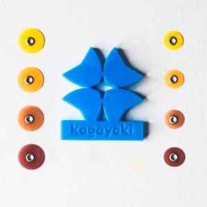 Диски "Kagayaki RoundFlex Т" гибкие 2157С, d9,5мм, жесткие (бордо), 50шт.