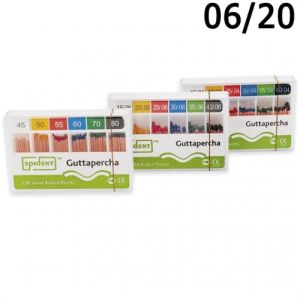 Штифты гуттаперчевые .06 №20 (60шт), SPIDENT