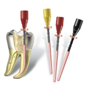 Protaper Universal Obturator F2, 20шт