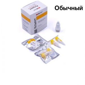 РутДент порошок д/пломбирования корневых каналов (20шт х 0,3гр), SM DMT