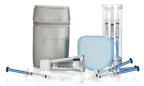 Opalescence 20% PF Regular Patient Kit - гель для домашнего отбеливания (8шпр.х1,2мл+зуб.паста+конт.для капп) (США)