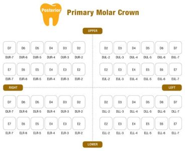 Коронки I CROWN Refill EUL-7 из нержавеющей стали детские (5 шт) Seil Global