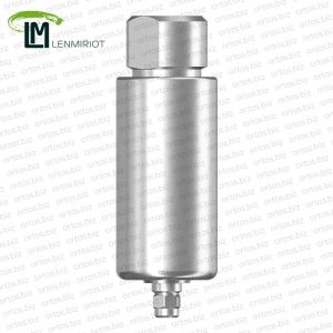 Заготовка индивидуального абатмента D=10 мм для холдера ARUM, совместимая с XiVE 4.5